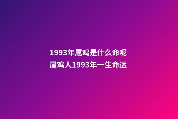 1993年属鸡是什么命呢 属鸡人1993年一生命运